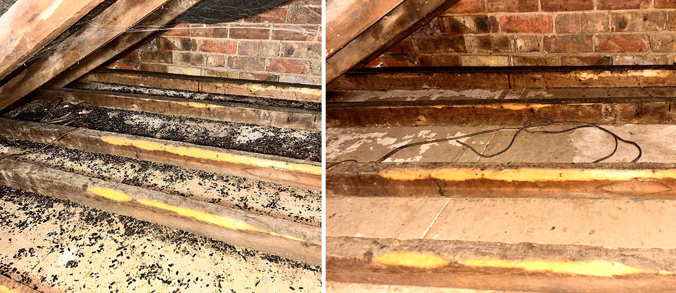 loft clearance before after